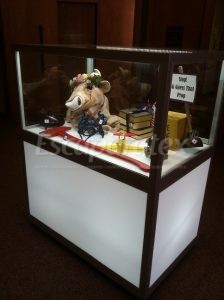 museum-display-cases-small-207